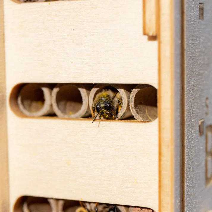 DIY Bee Hotel Kit  - Image 10