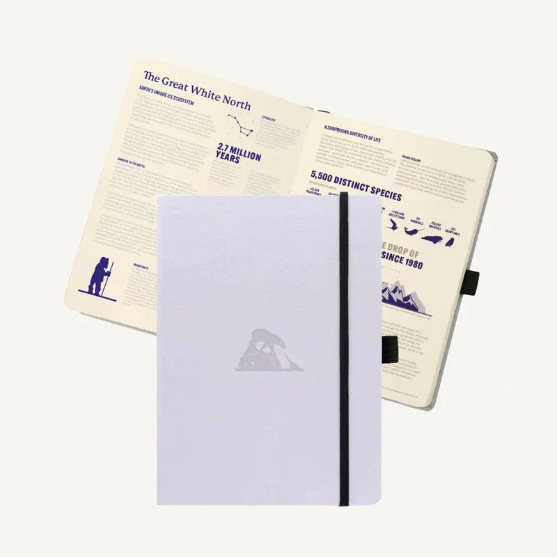 Dingbats Arctic A5 Notebook - Image 2
