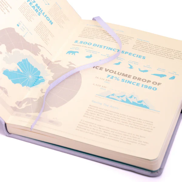Dingbats Arctic A5 Notebook - Image 5