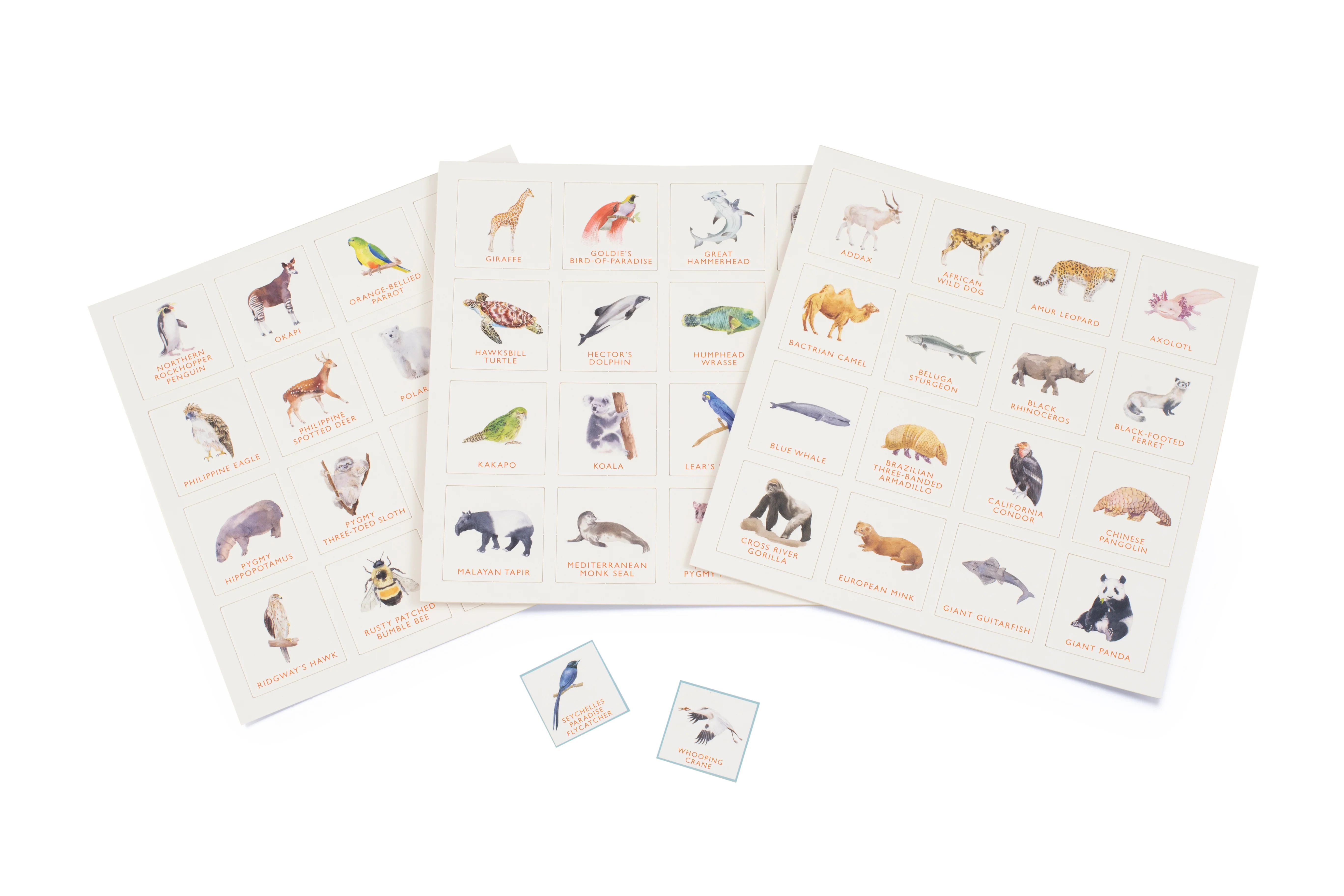 Endangered Animals Bingo - Image 4