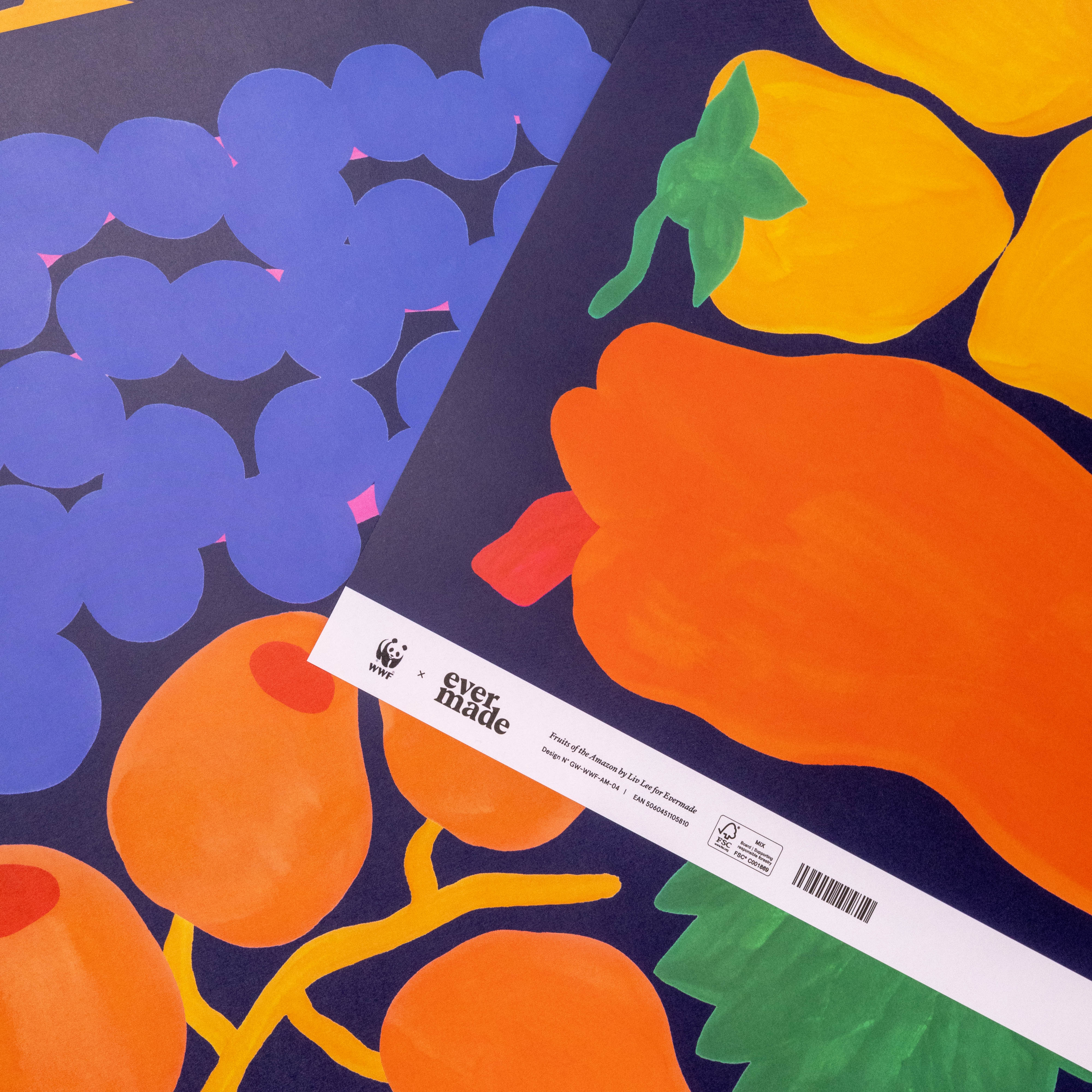 Evermade x Liv Lee - Fruits of the Amazon WWF Luxury Gift Wrap (2 Sheets) - Image 3