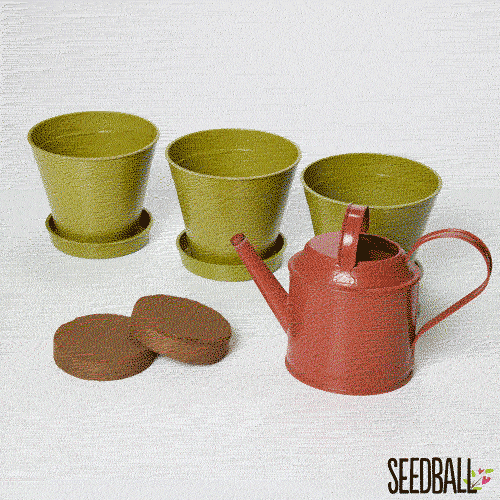 Seedball Mini Meadow Bamboo Pots - Bee Mix - Image 6