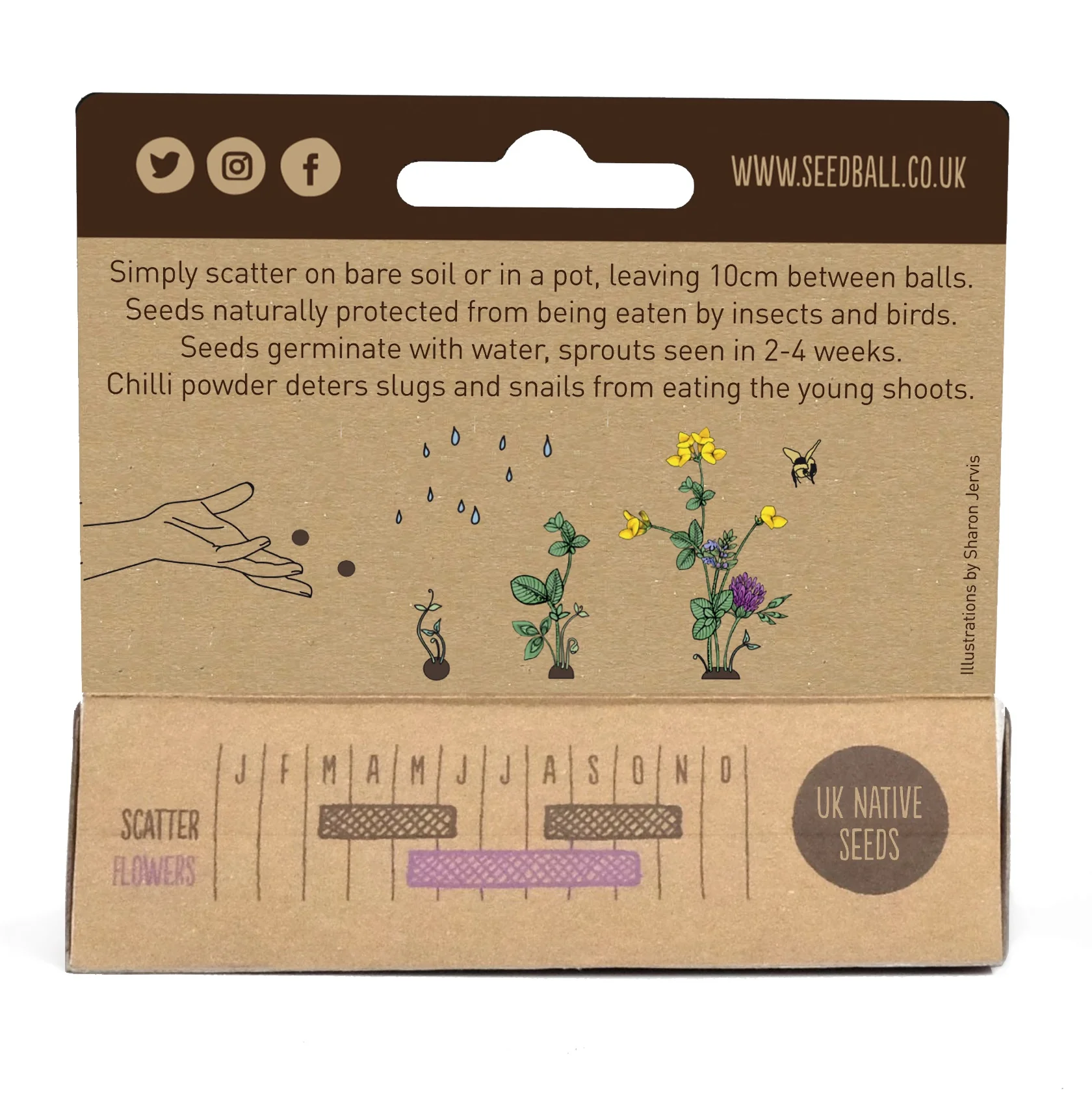 Seedball Mini Meadow Bamboo Pots - Bee Mix - Image 5