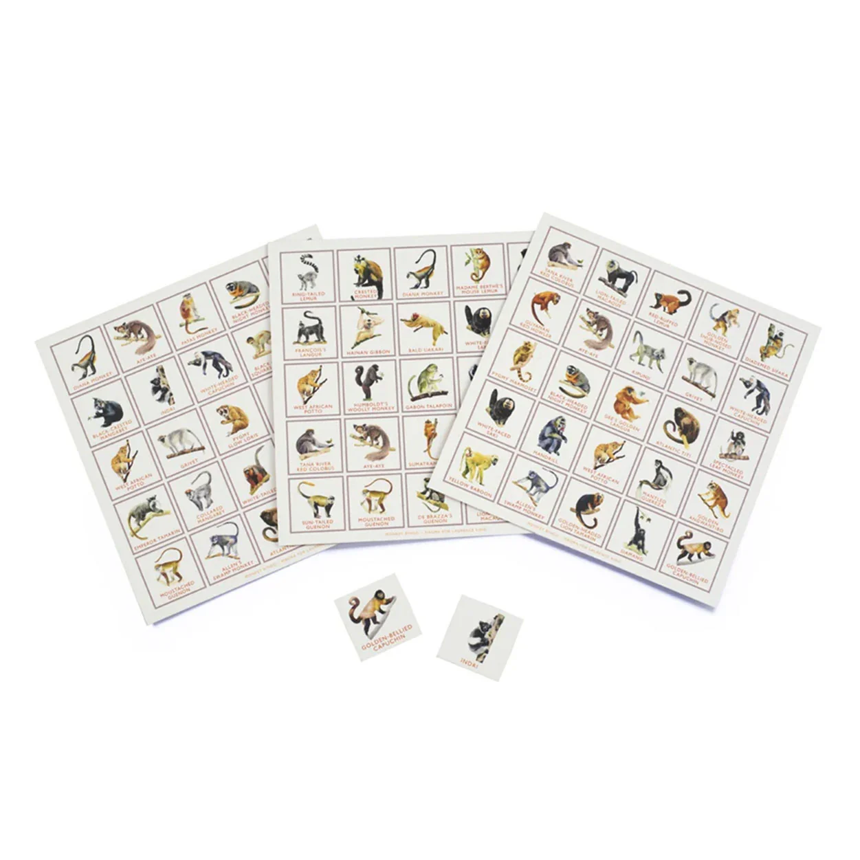 Monkey Bingo - Image 4