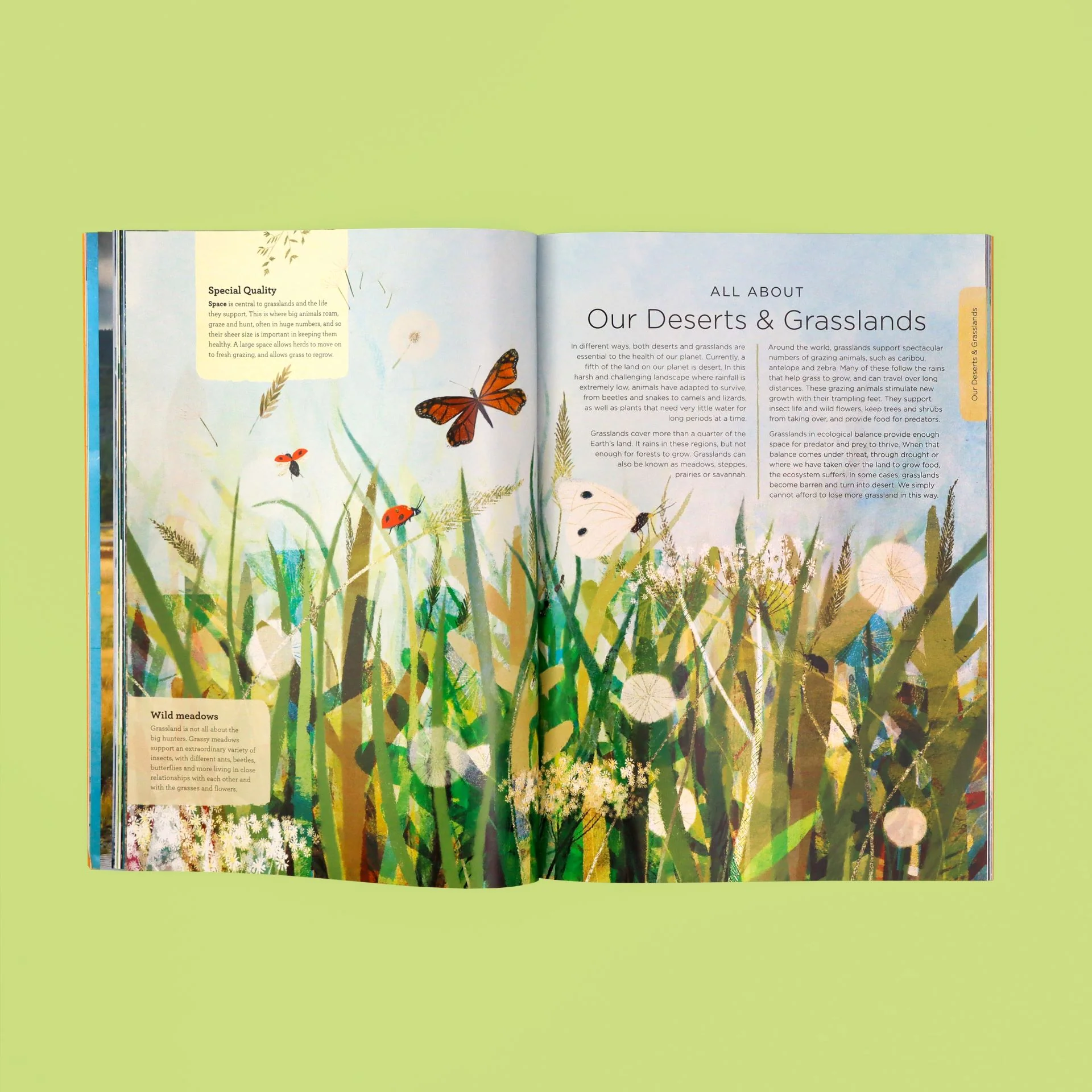 Our Planet: The One Place We All Call Home Book - Image 3