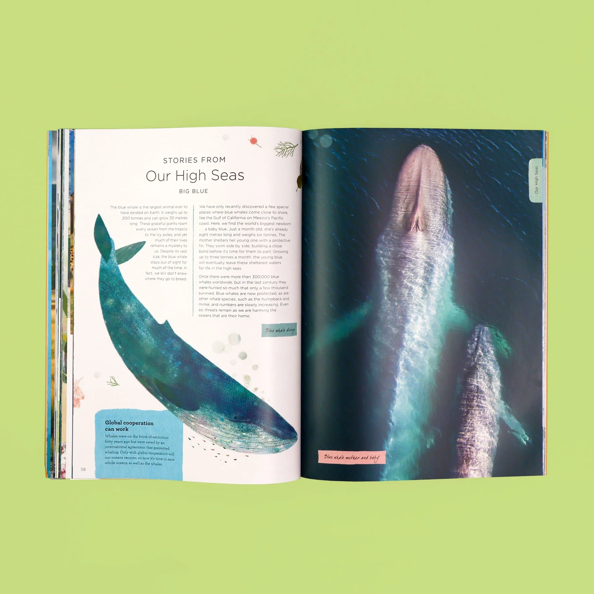 Our Planet: The One Place We All Call Home Book - Image 4