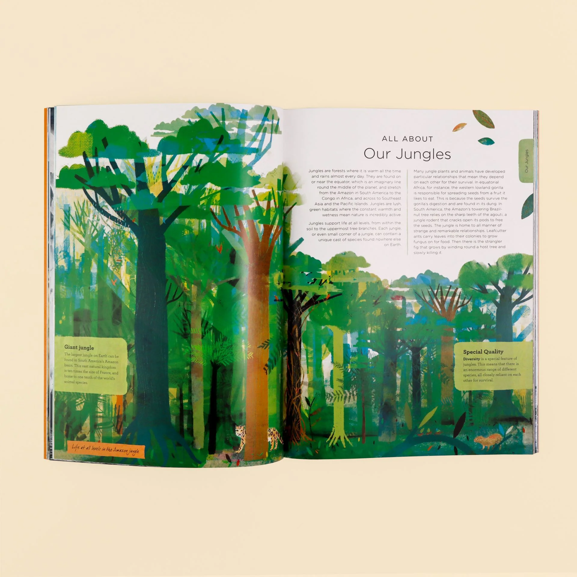 Our Planet: The One Place We All Call Home Book - Image 5