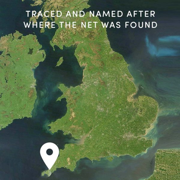 Behaviour Change Cornwall Perranporth Beach Whale Tail Bracelet - Image 7