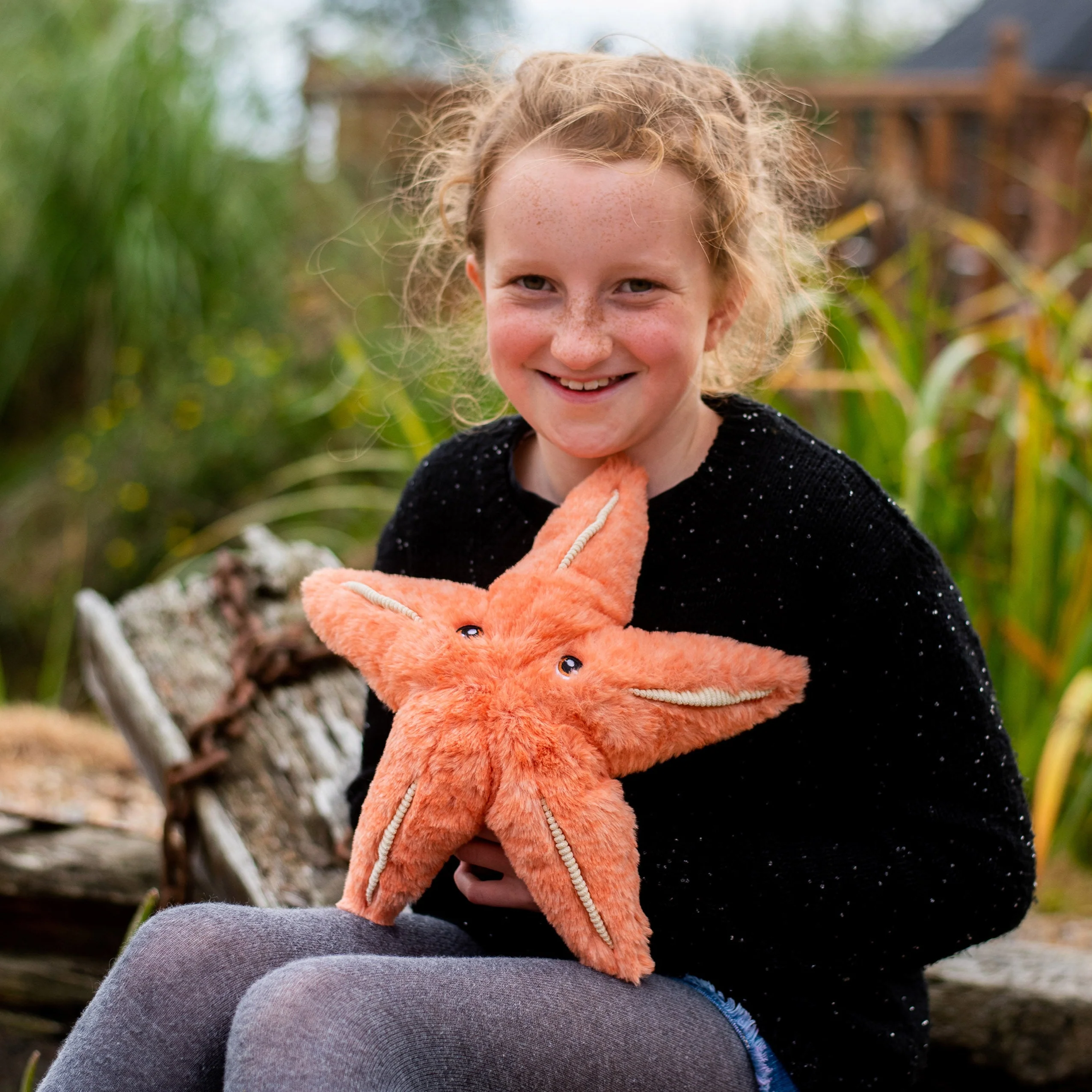 Plush Starfish - Image 4