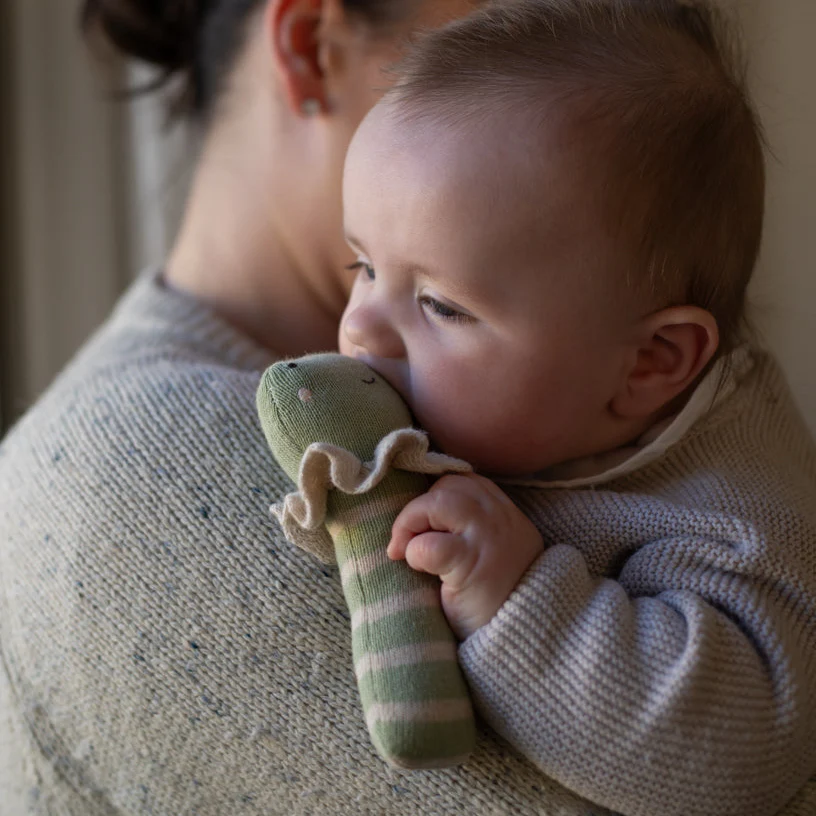 Rattle & Care New Baby Gift Set - Riverbank - Image 3