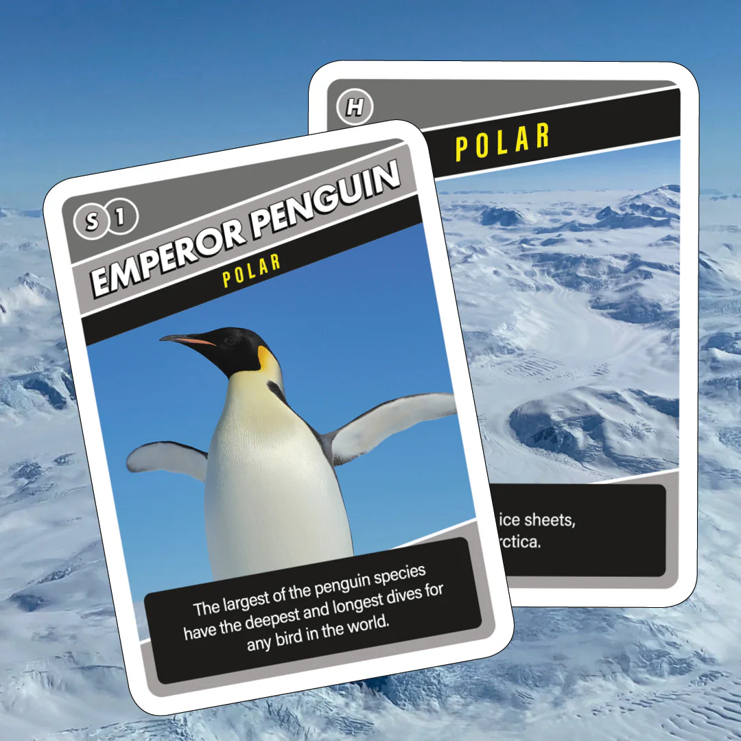 SOS Save Our Species Card Game - Image 2
