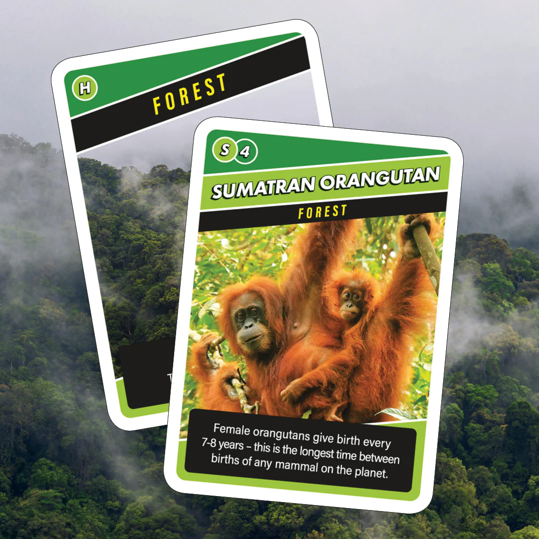 SOS Save Our Species Card Game - Image 3