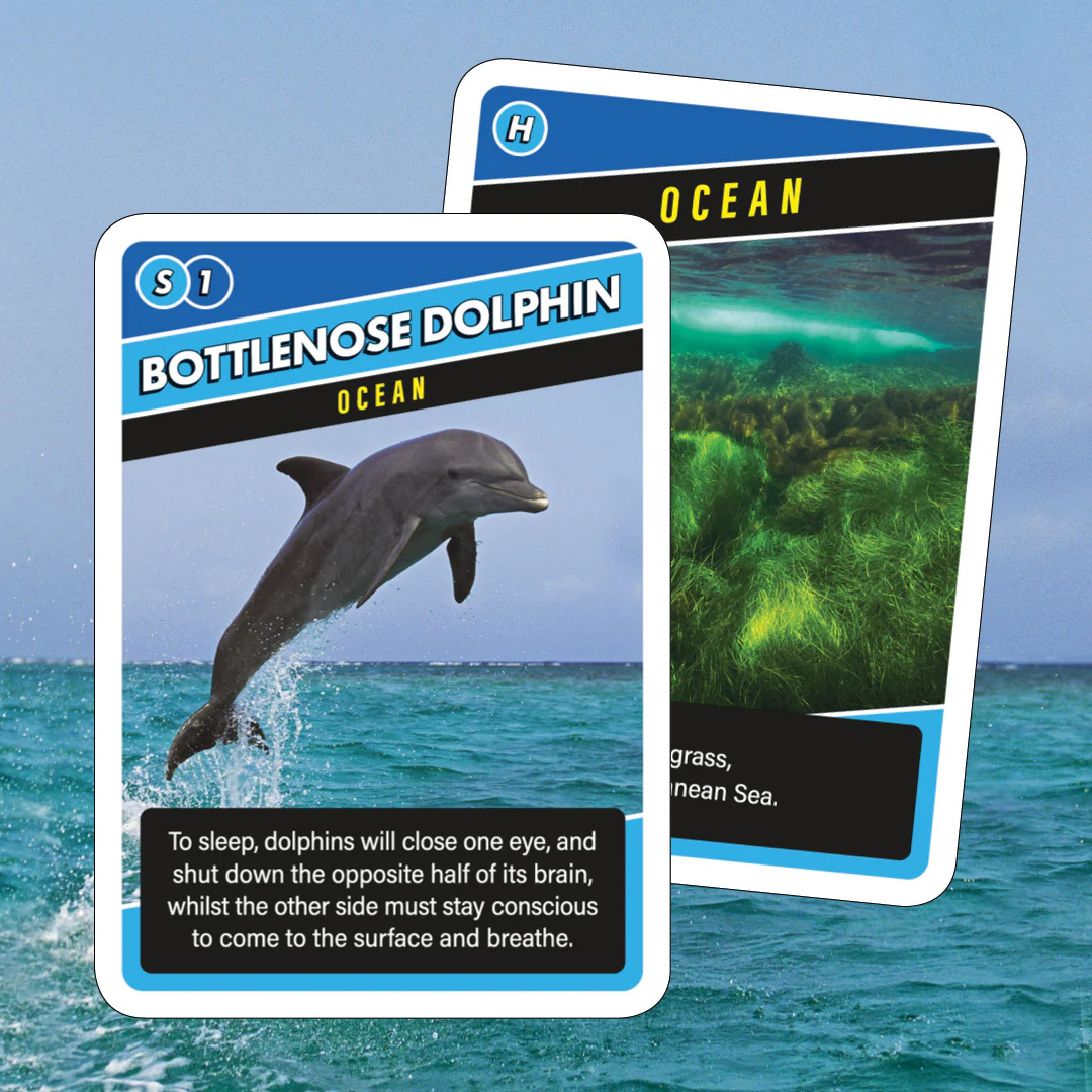SOS Save Our Species Card Game - Image 4