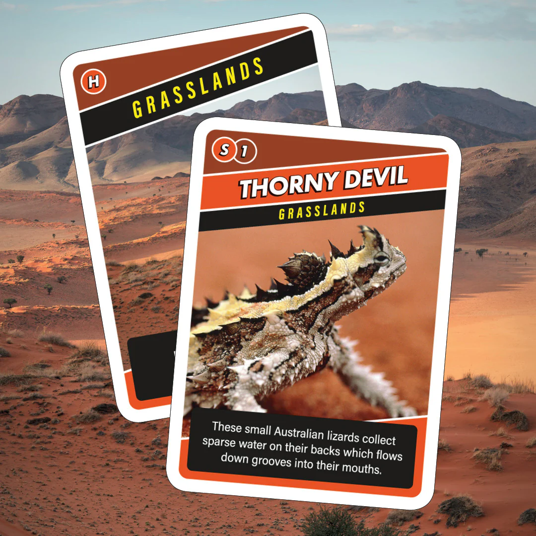 SOS Save Our Species Card Game - Image 5