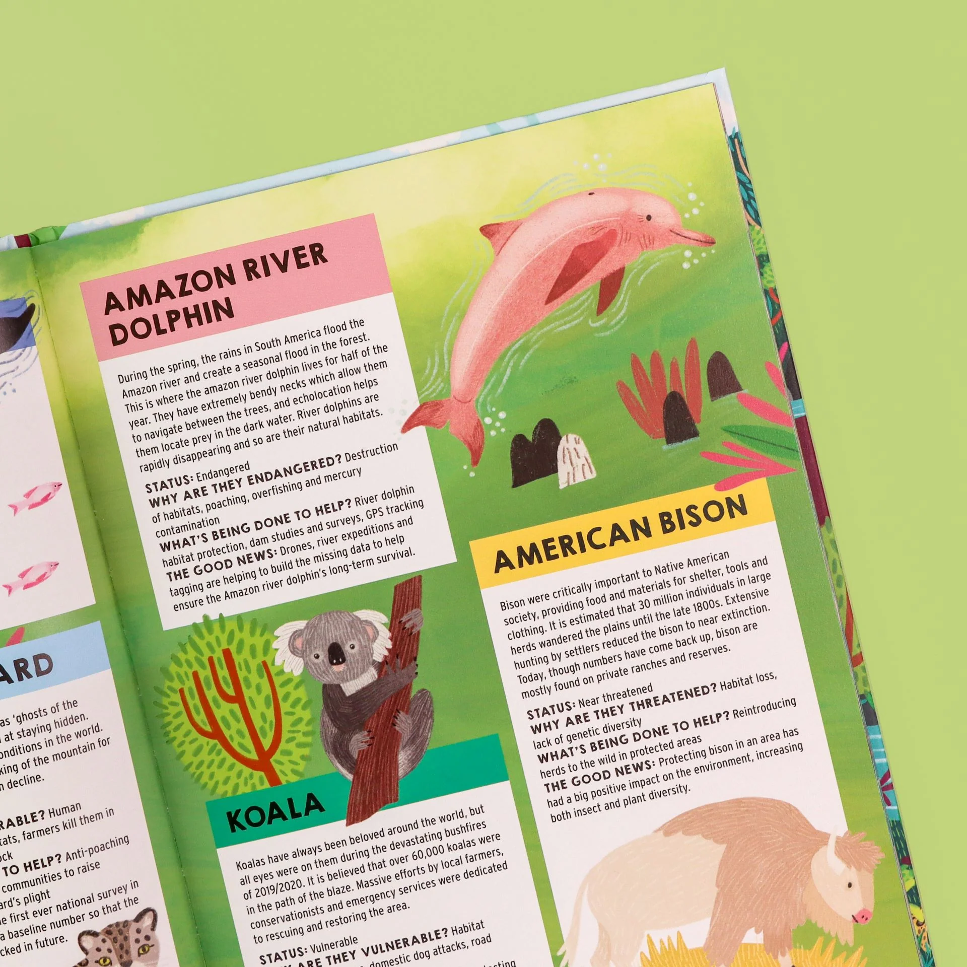 Where’s the Tiger? Search and Find Book - Image 3