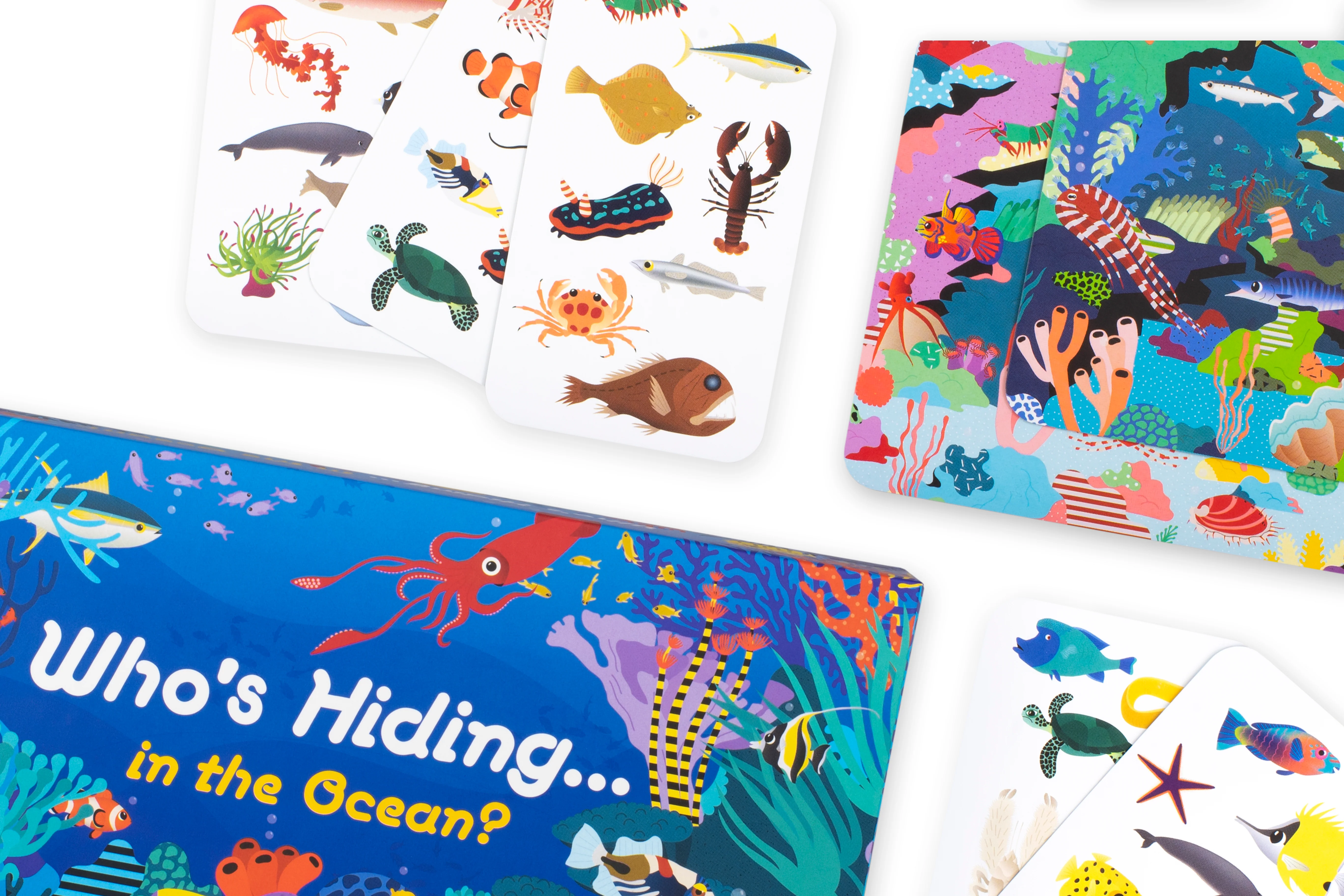 Who's Hiding in the Ocean? - Image 5