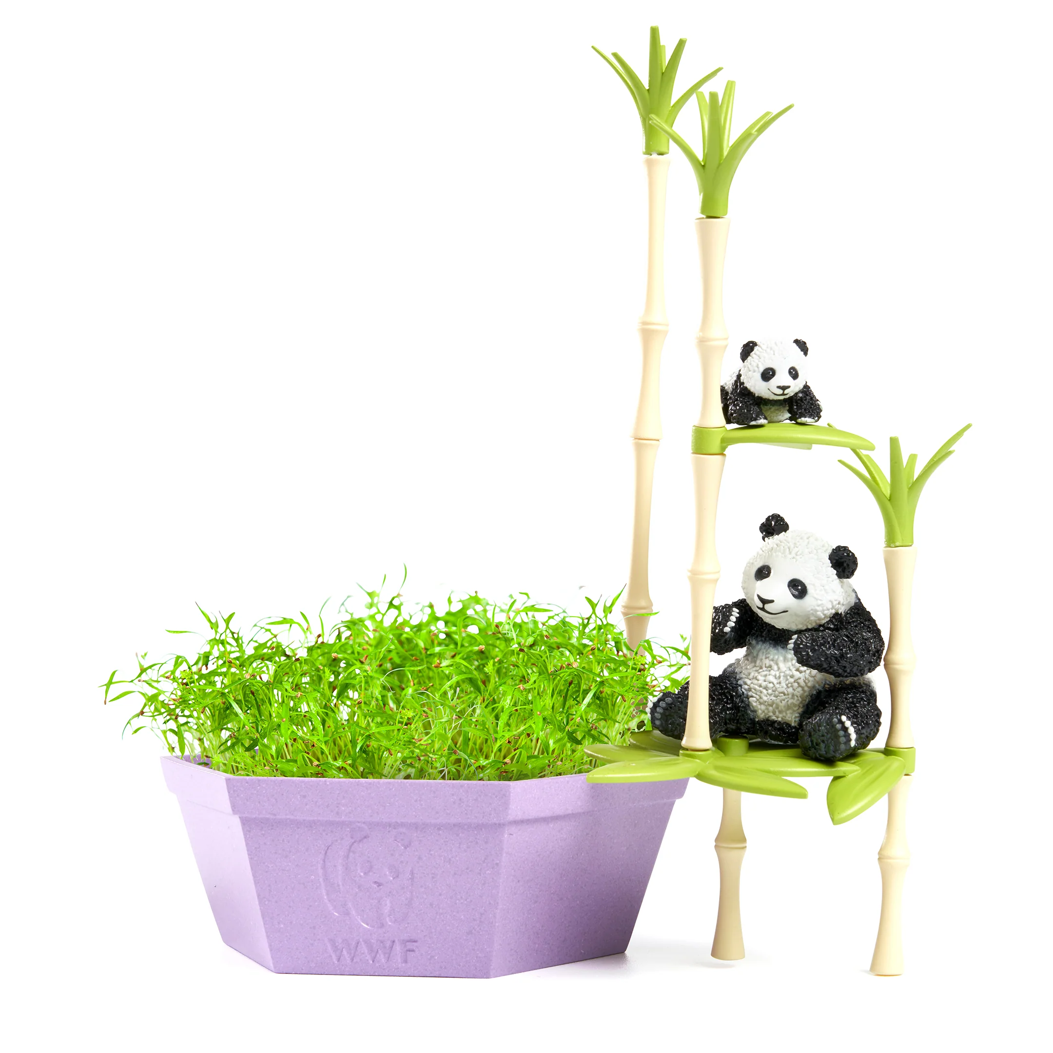 Wild Scenes Grow and Play - Pandas' Bamboo Forest - Image 2