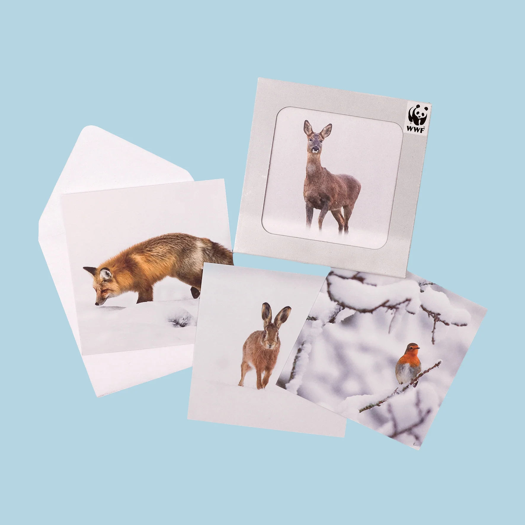 UK Nature Photography cards (multipack of 8) - Image 3