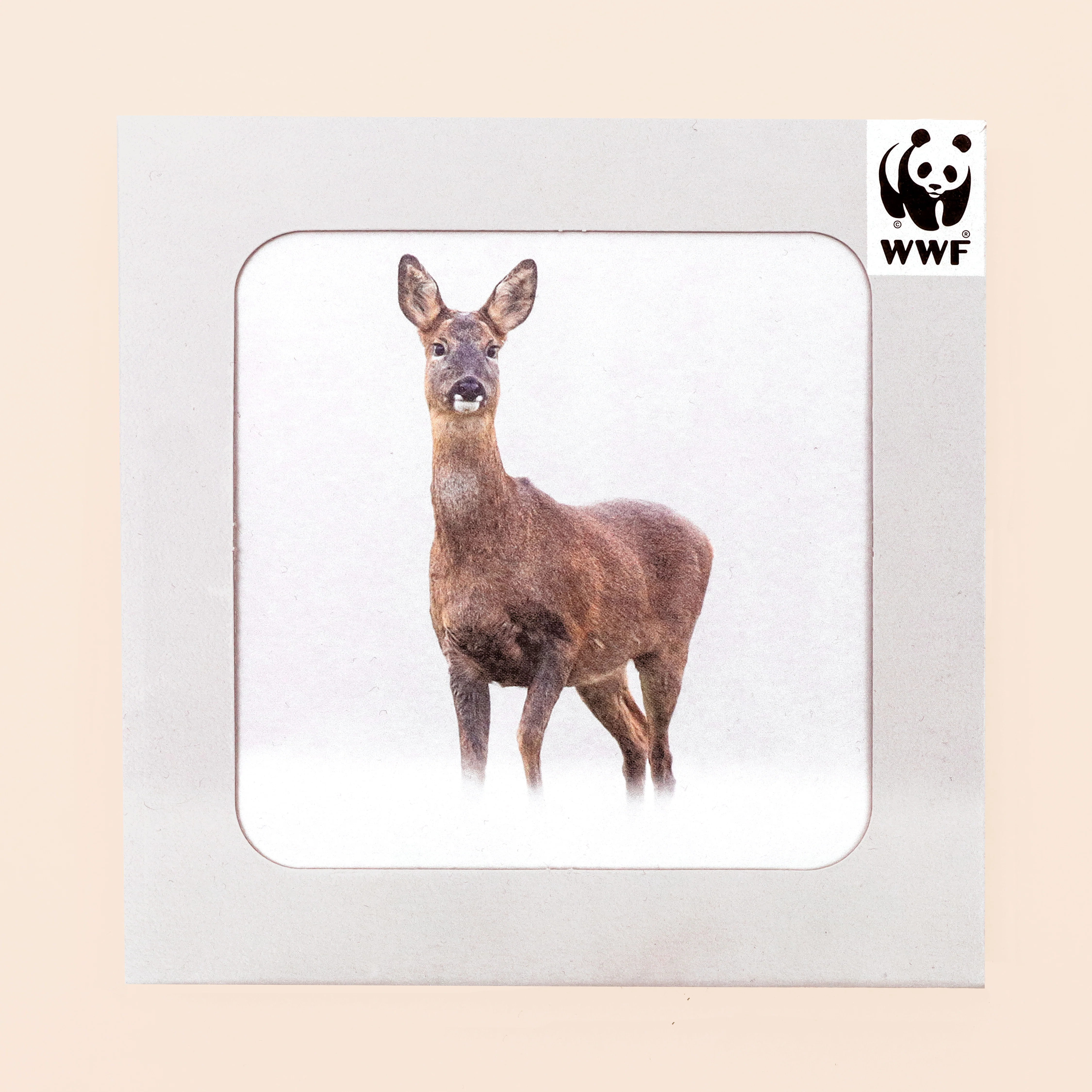 UK Nature Photography cards (multipack of 8) - Image 4