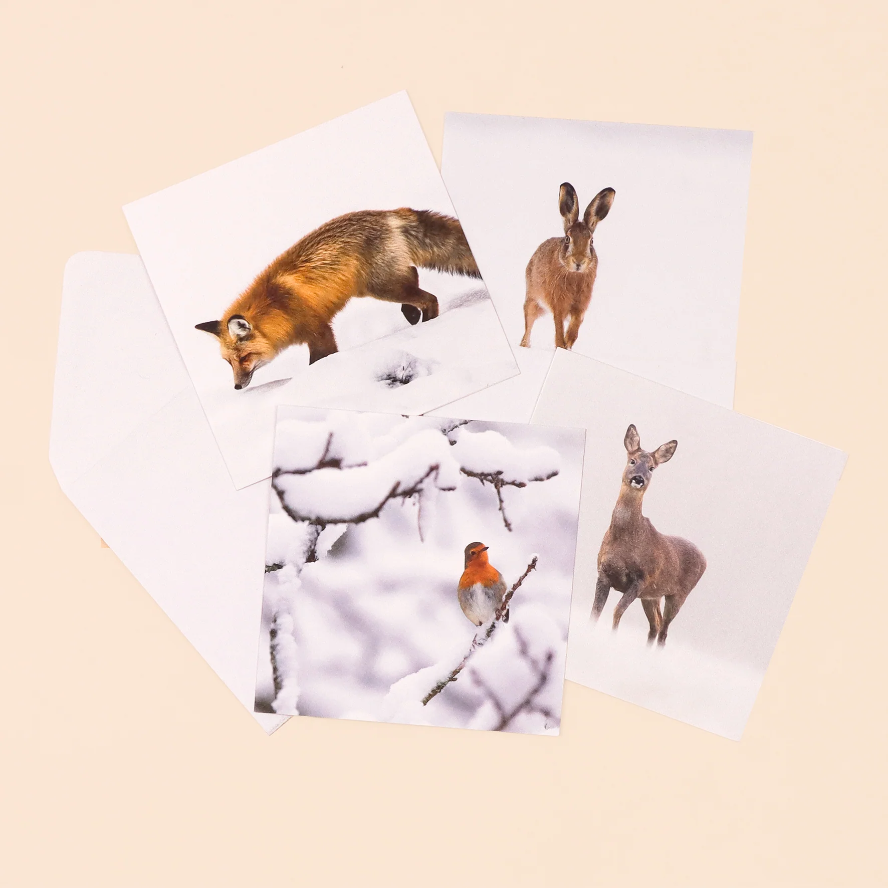 UK Nature Photography cards (multipack of 8) - Image 5