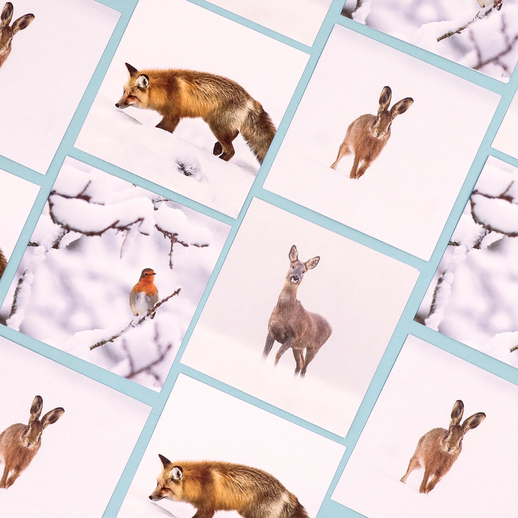 UK Nature Photography cards (multipack of 8) - Image 6