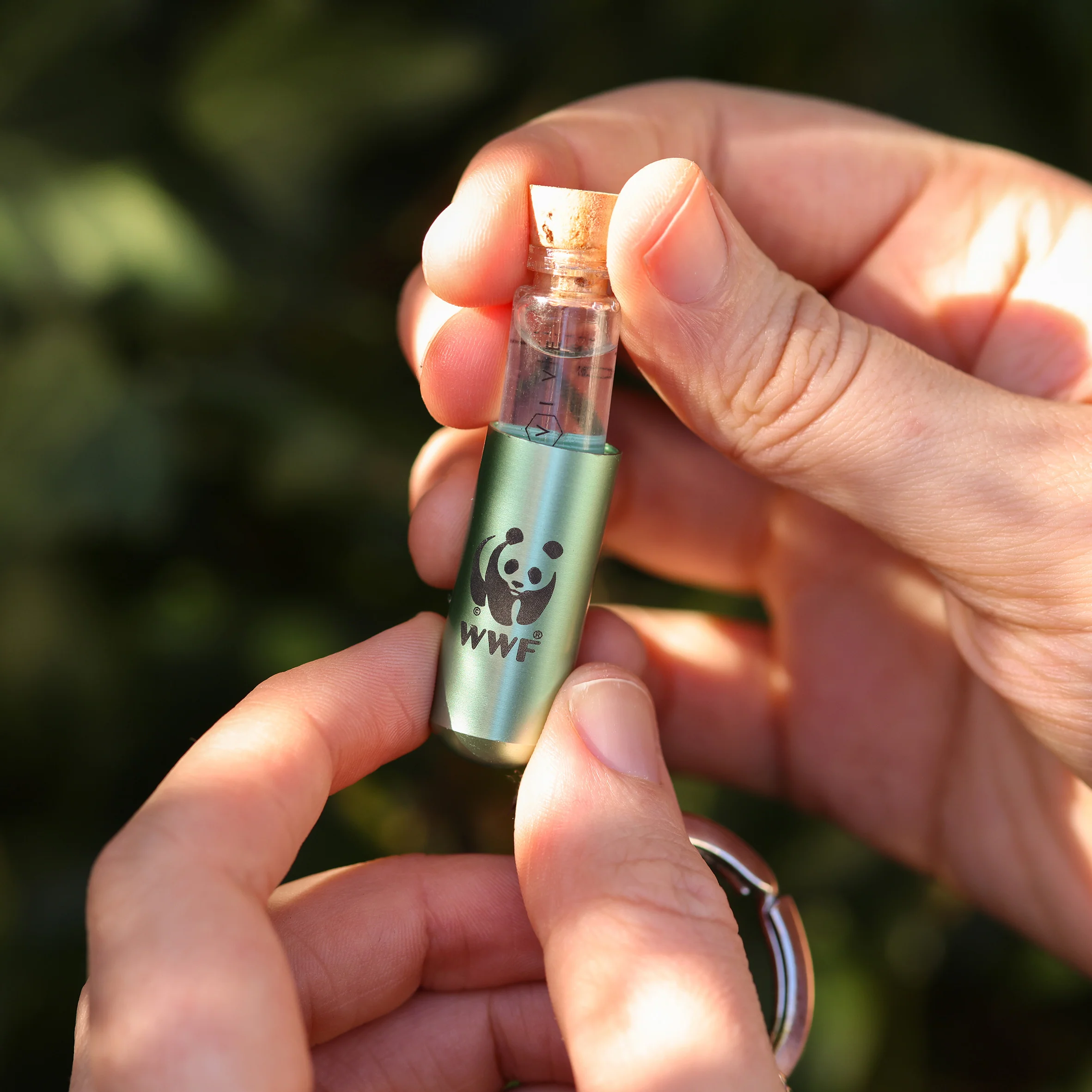WWF X Beevive Bee Revival Kit - Sage - Image 5