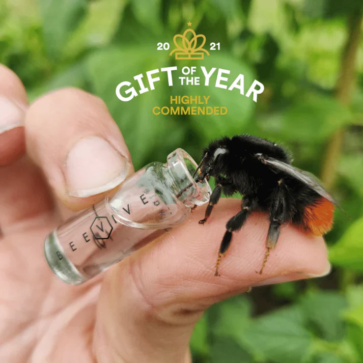 WWF X Beevive Bee Revival Kit - Gold - Image 6