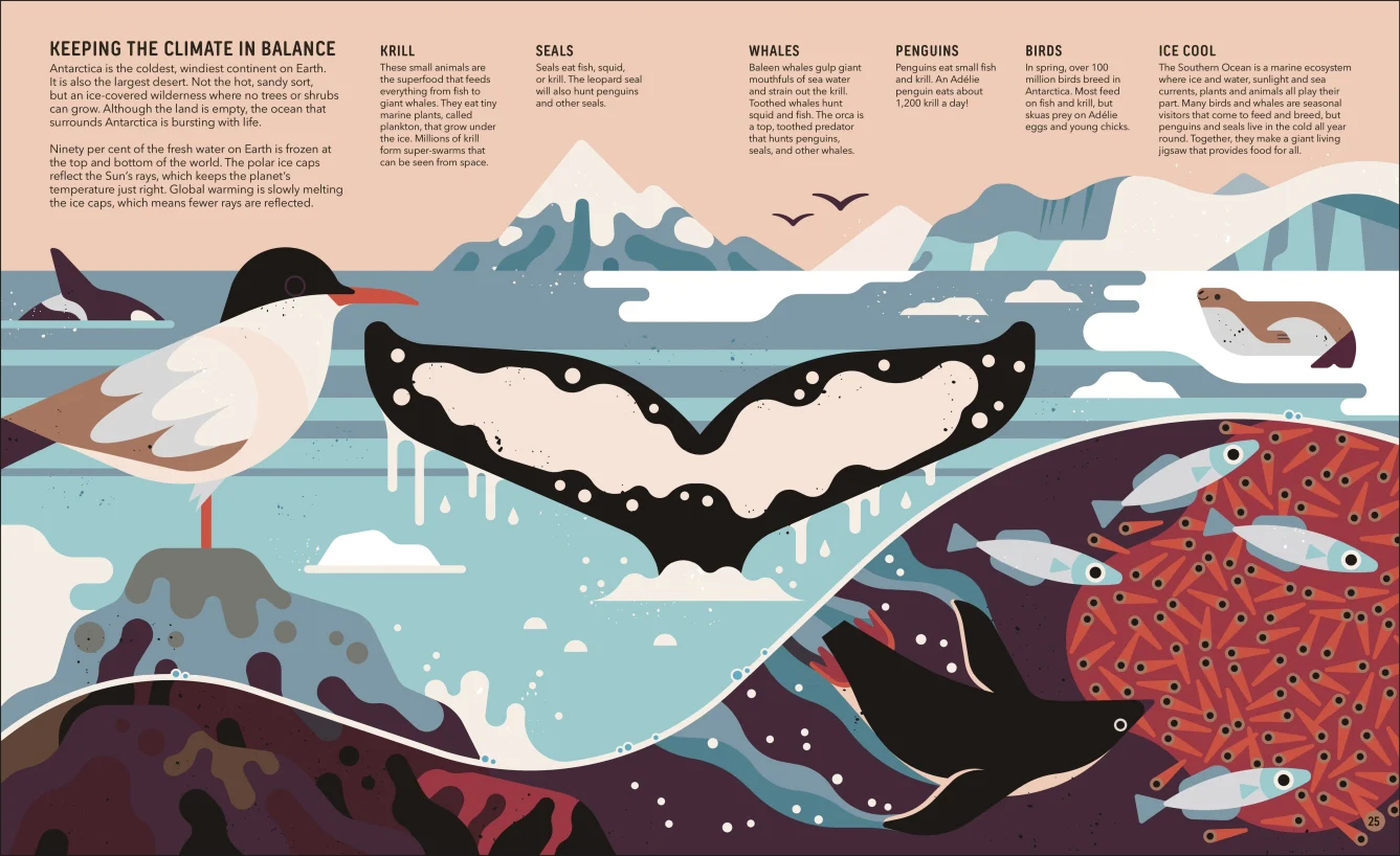 Zoom Out Natural World Book - Image 4